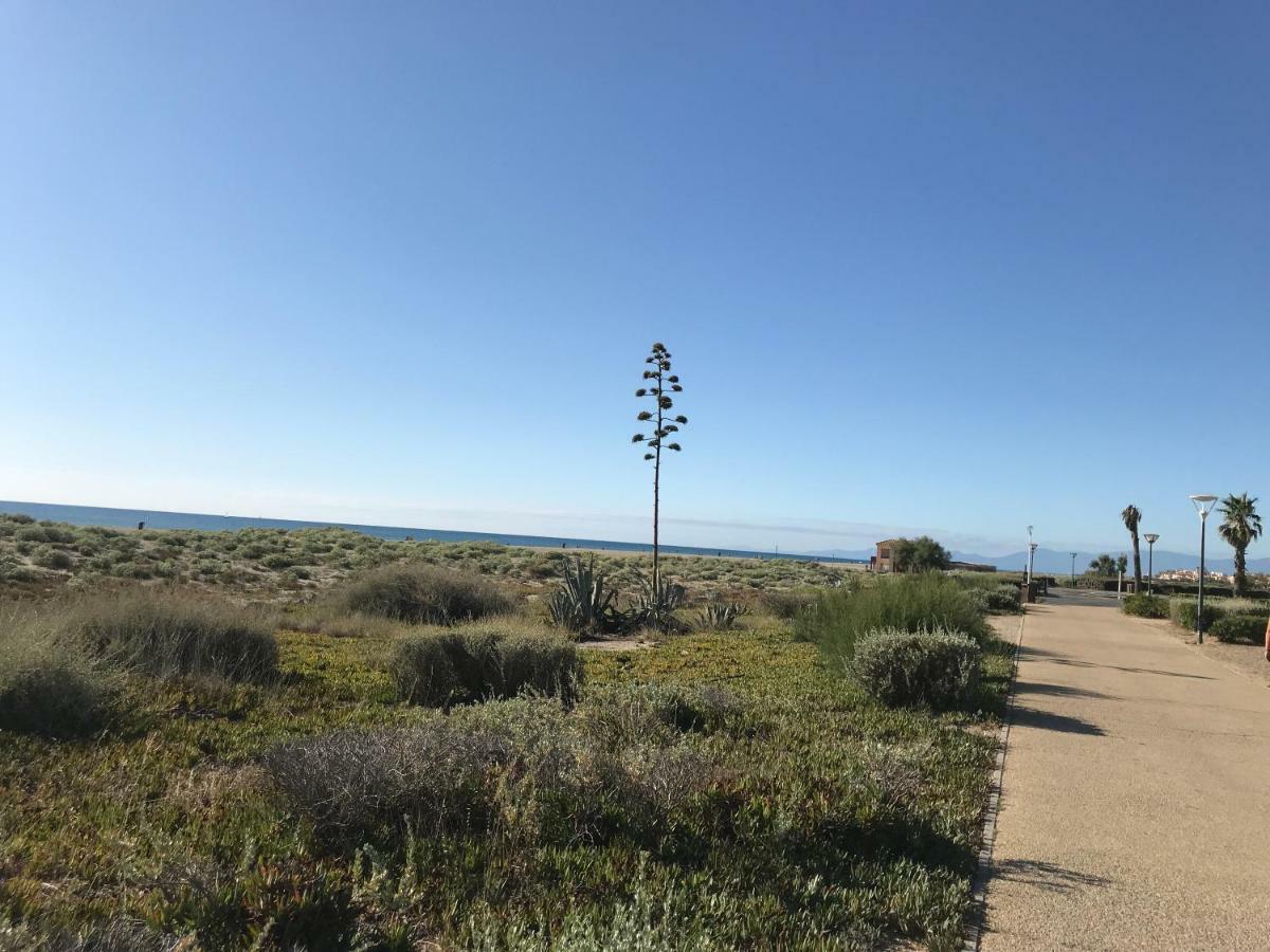 Port Leucate T2 Bis Wifi Les Sables 3 Lägenhet Exteriör bild